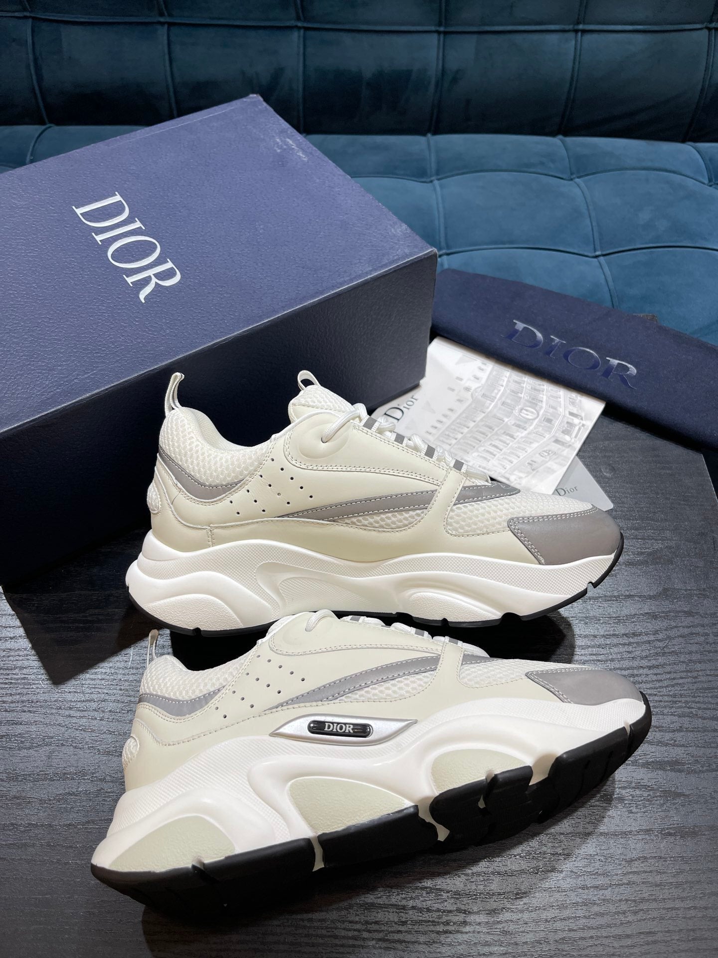 Dior B22s