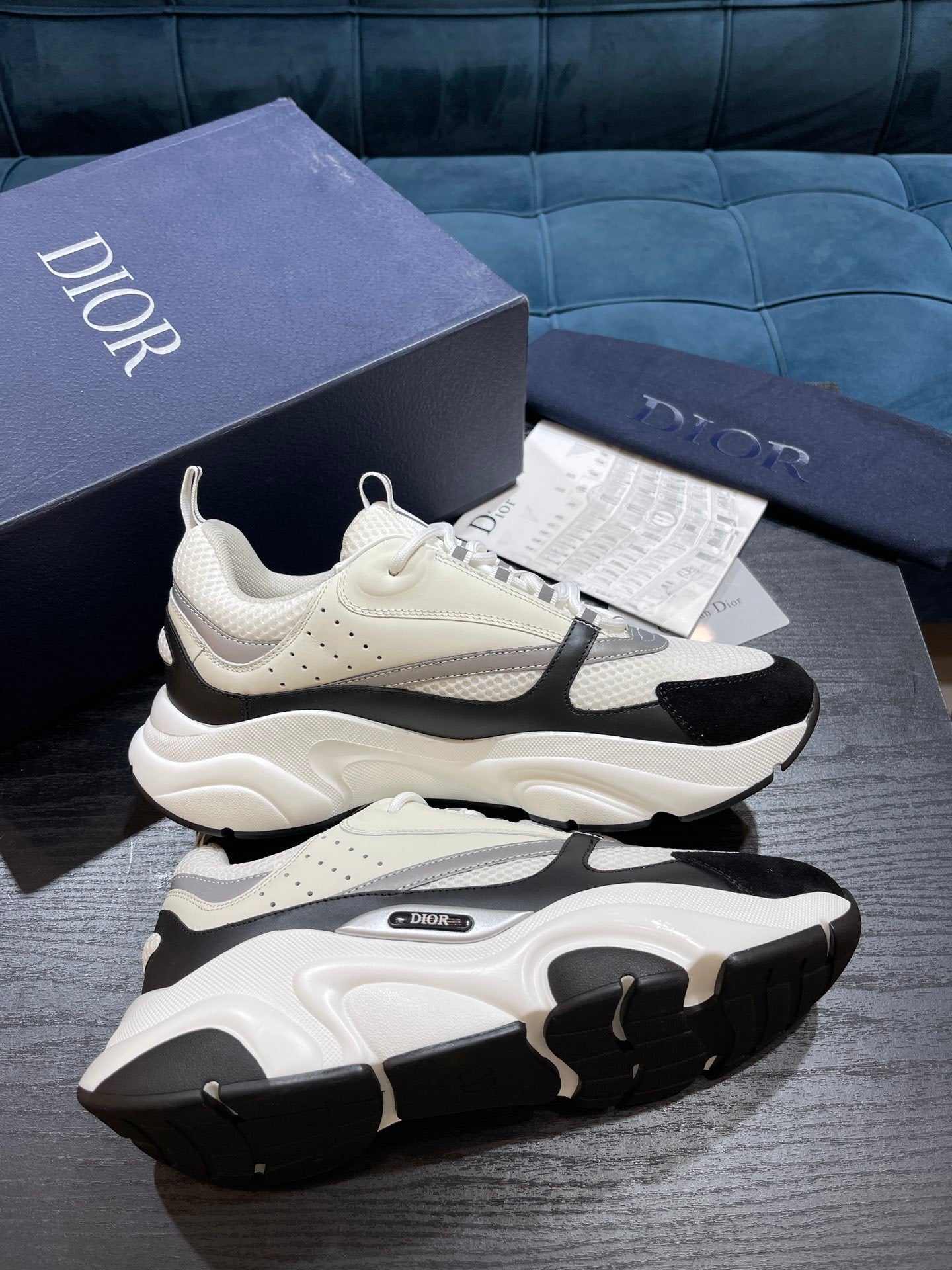 Dior B22s