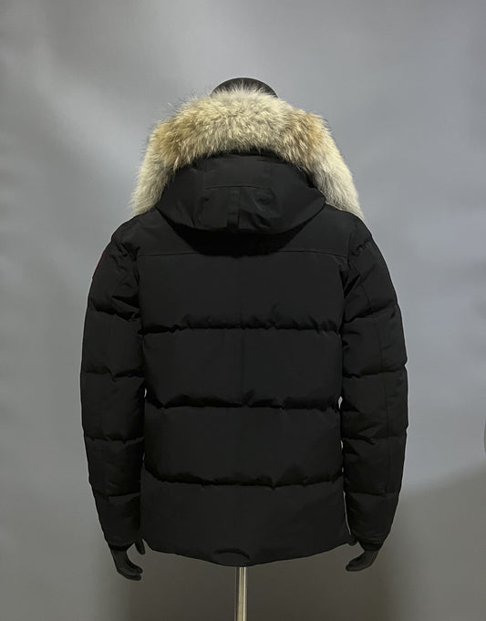 CG Wyndham Parka