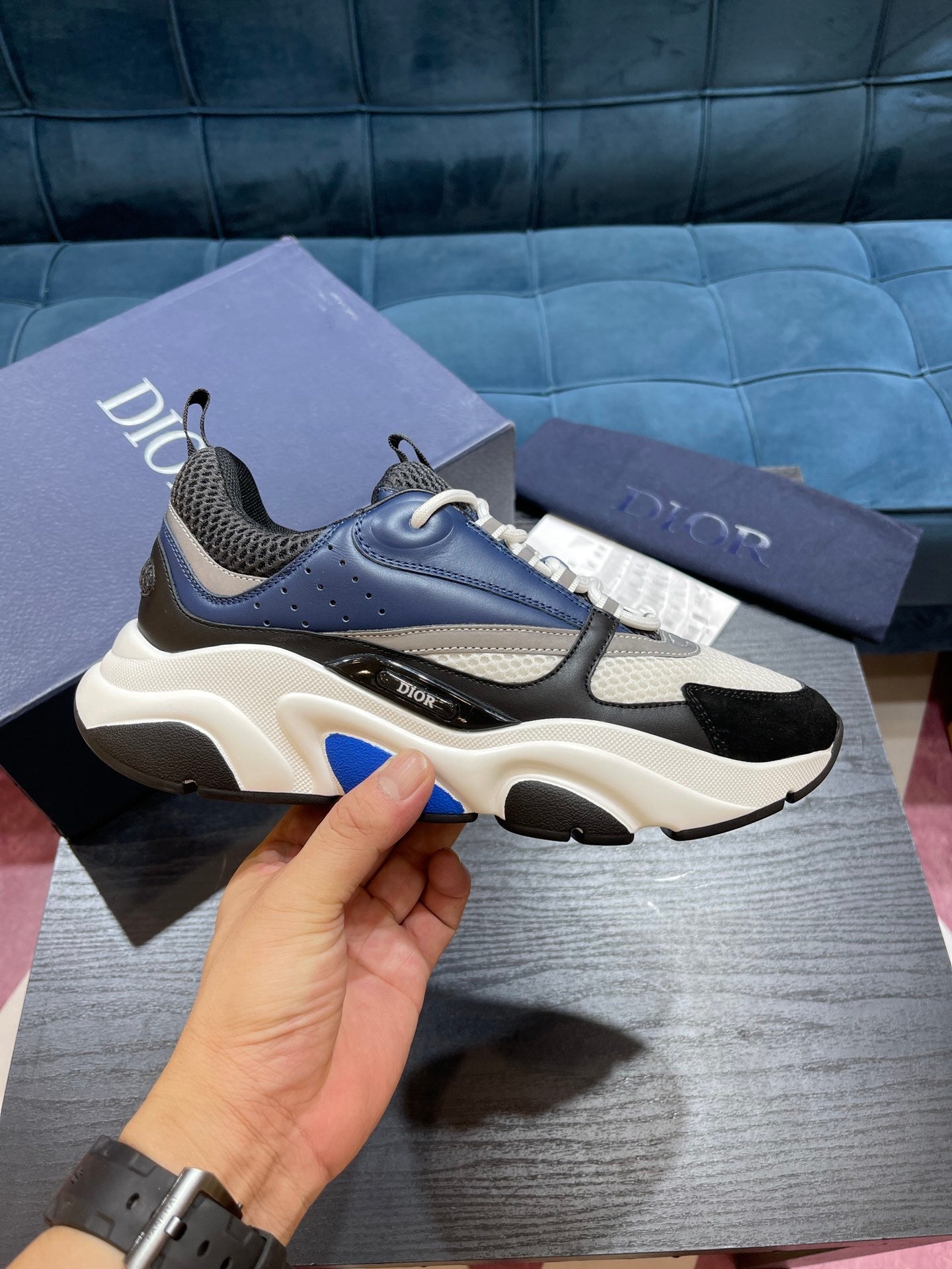 Dior B22s