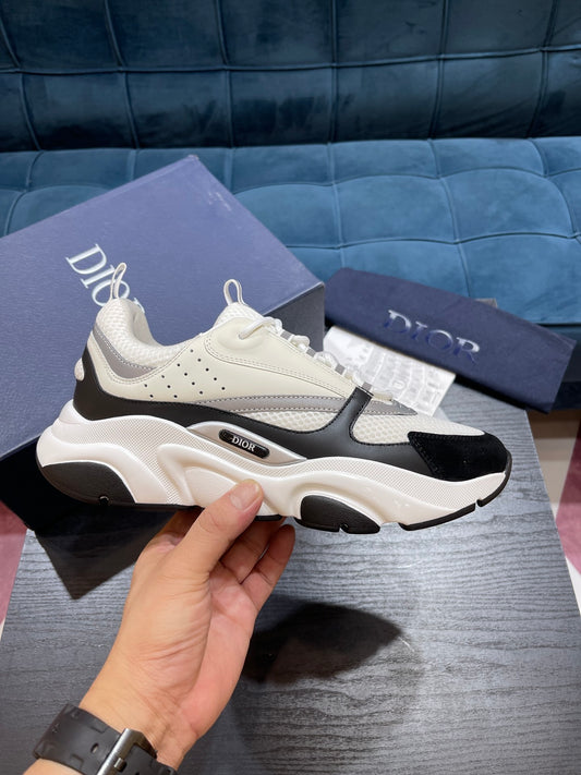 Dior B22s