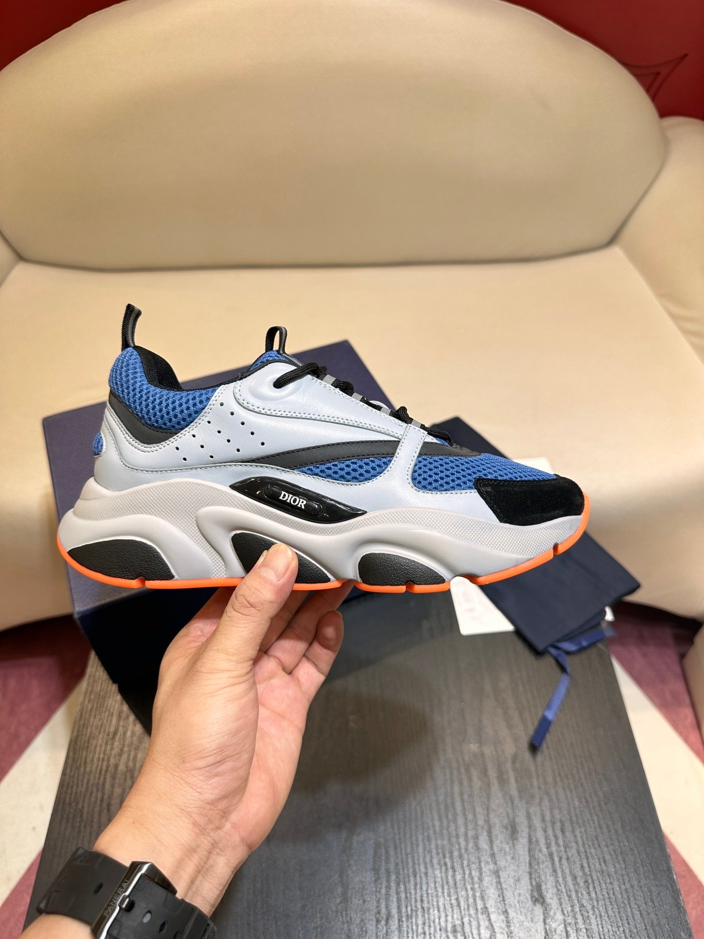 Dior B22s